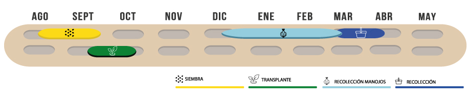 calendario-daria-extratempranas